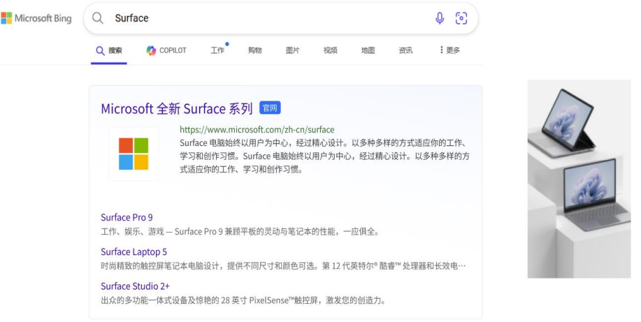 PC基础样式&右侧图片